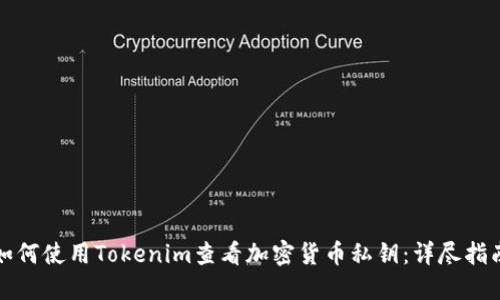 如何使用Tokenim查看加密货币私钥：详尽指南