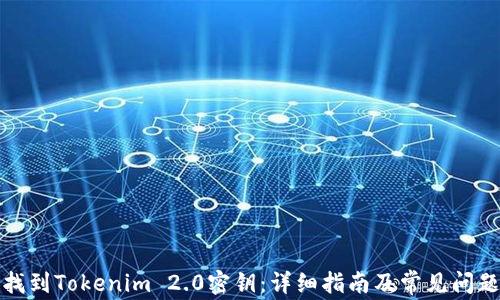 如何找到Tokenim 2.0密钥:详细指南及常见问题解答