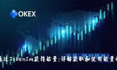 如何通过TokenIm获得能量：详解获取和