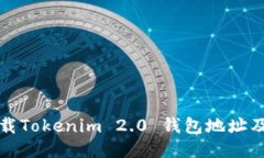如何安全下载Tokenim 2.0 钱包地址及其使