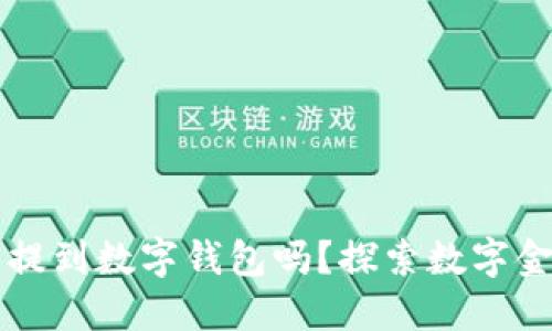 法币可以提到数字钱包吗?探索数字金融的未来