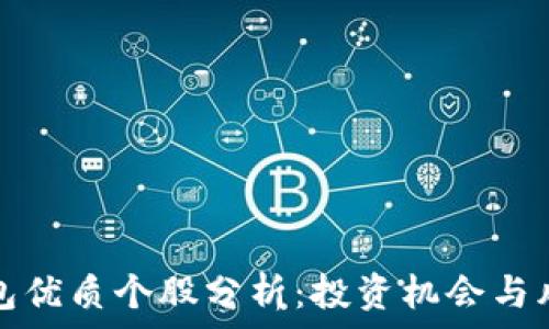 数字钱包优质个股分析:投资机会与风险评估