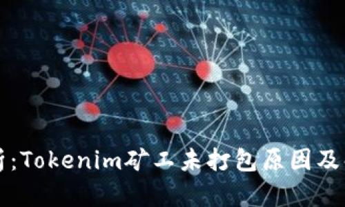 深入解析:Tokenim矿工未打包原因及解决方案