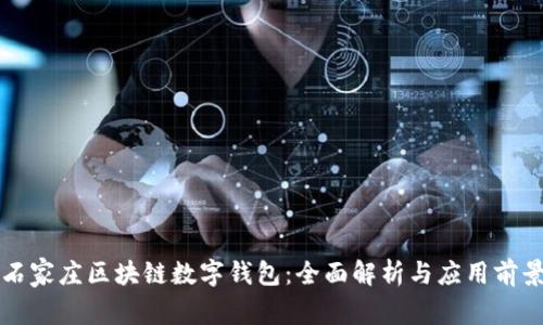 石家庄区块链数字钱包:全面解析与应用前景