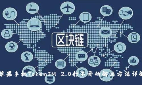 苹果手机TokenIM 2.0打不开的解决方法详解