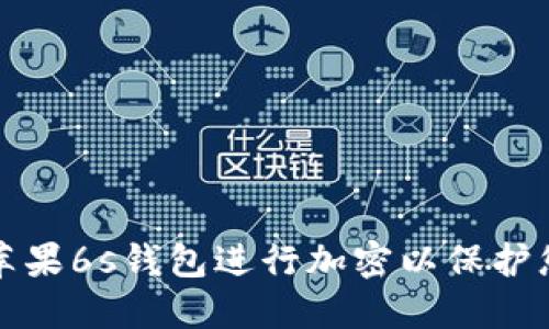 如何对苹果6s钱包进行加密以保护您的隐私