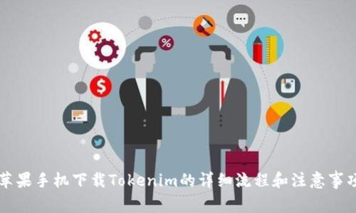 苹果手机下载Tokenim的详细流程和注意事项