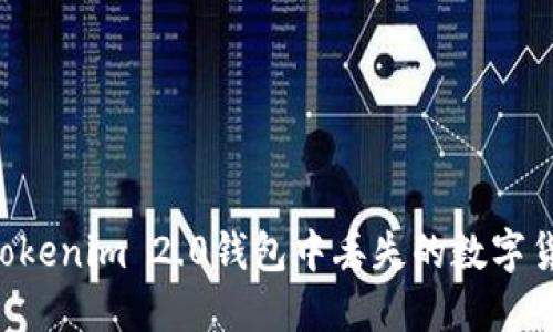 如何找回在Tokenim 2.0钱包中丢失的数字货币:全面指南