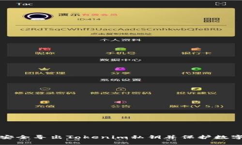 如何安全导出Tokenim私钥并保护数字资产
