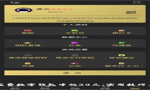 如何省钱花费数字钱包中的20元：实用技巧与消费指南