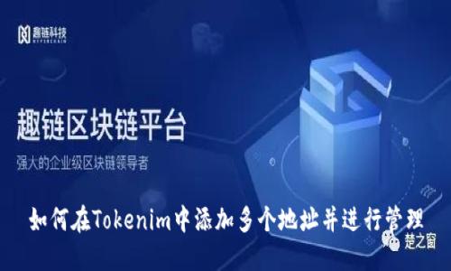 如何在Tokenim中添加多个地址并进行管理