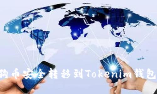 如何将狗狗币安全转移到Tokenim钱包:全面指南