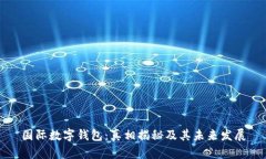 国际数字钱包：真相揭秘及其未来发展
