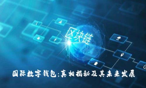 国际数字钱包：真相揭秘及其未来发展
