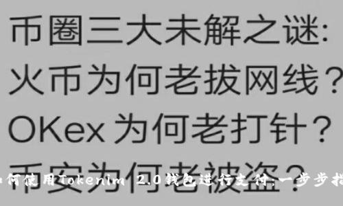 i如何使用Tokenim 2.0钱包进行支付：一步步指南