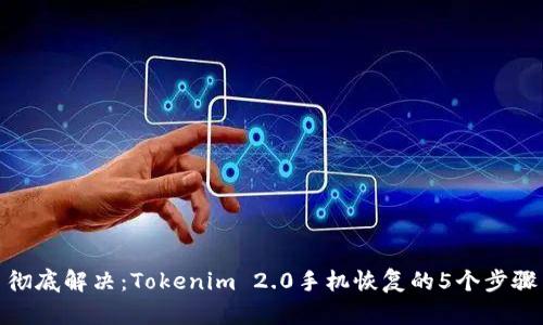 彻底解决:Tokenim 2.0手机恢复的5个步骤