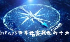2023年详解：WinPays云尊数字钱包的十大
