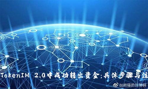 如何在TokenIM 2.0中成功转出资金：具体步骤与注意事项