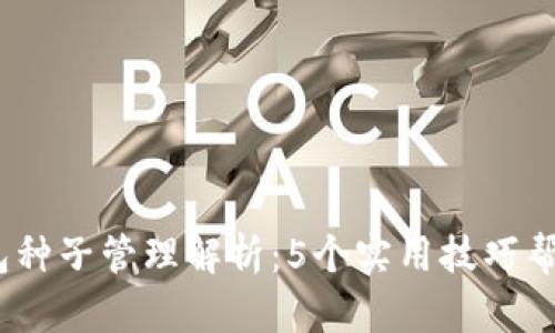 2023年数字钱包种子管理解析：5个实用技巧帮你保护资产安全