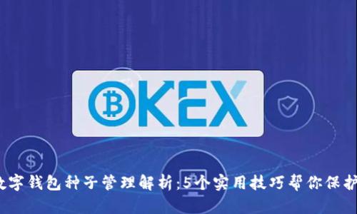 2023年数字钱包种子管理解析：5个实用技巧帮你保护资产安全