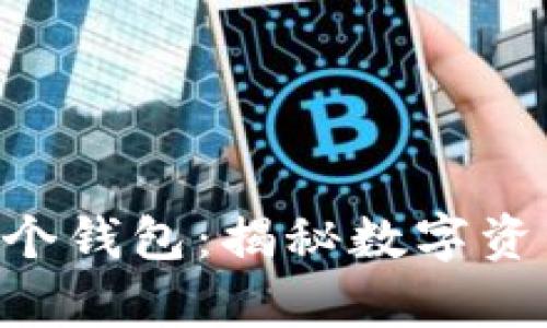 一个Token可以拥有多个钱包:揭秘数字资产存储的灵活性与策略