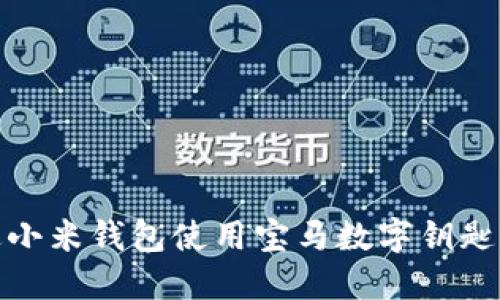 解锁未来：如何通过小米钱包使用宝马数字钥匙，提升你的驾驶体验
