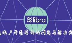 2023年数字钱包账户开通遇到的问题与