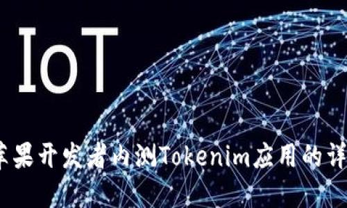 2023年国内苹果开发者内测Tokenim应用的详细指南及步骤