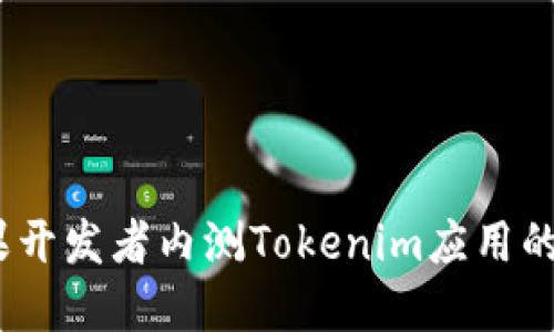 2023年国内苹果开发者内测Tokenim应用的详细指南及步骤