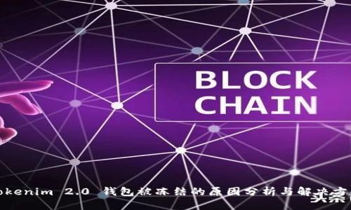 Tokenim 2.0 钱包被冻结的原因分析与解决方案