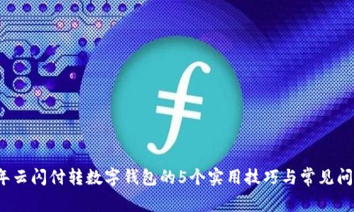 2023年云闪付转数字钱包的5个实用技巧与常见问题解析