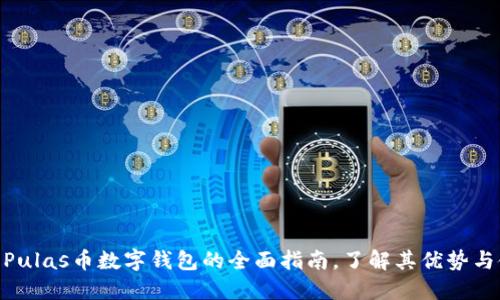 2023年:Pulas币数字钱包的全面指南,了解其优势与使用技巧