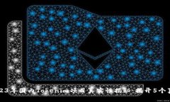 2023年国内Tokenim项目真实性揭秘：揭开
