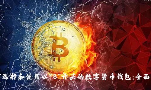 如何选择和使用以“B”开头的数字货币钱包：全面指南