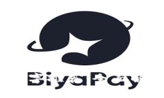 2023年印尼必买数字推荐：全面解析选择与使用技